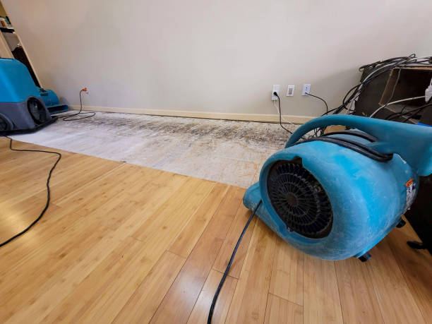 Professional Burst Pipe Water Damage technician working in Santa Clara, NM